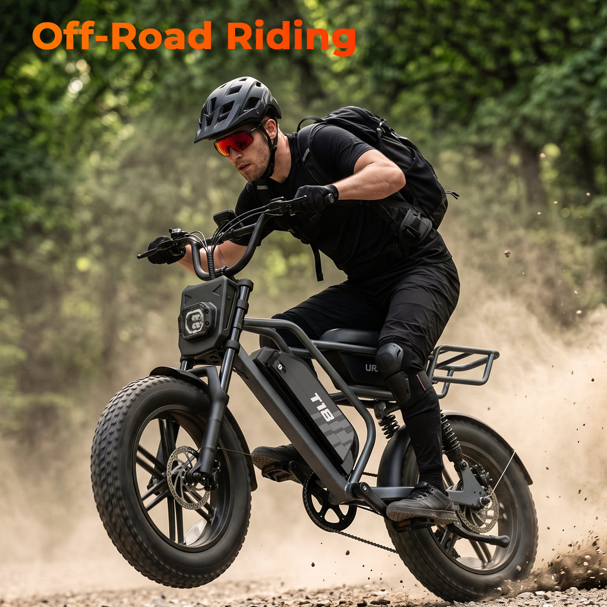 URLIFE T18 16" Fat Tire 48V 15.6Ah Electric Bike