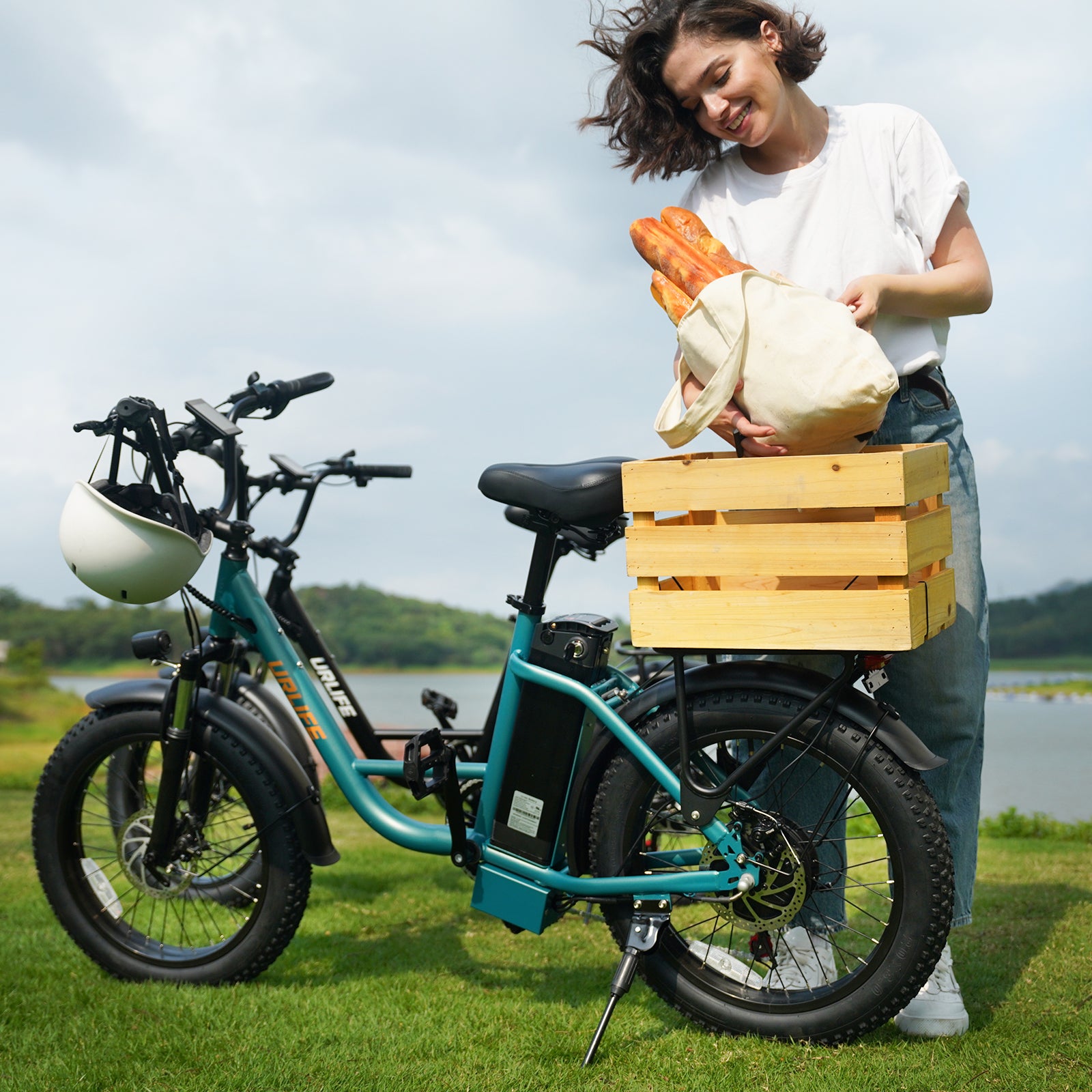 URLIFE E20 20*3.0 Fat Tire Commuting Electric Bike