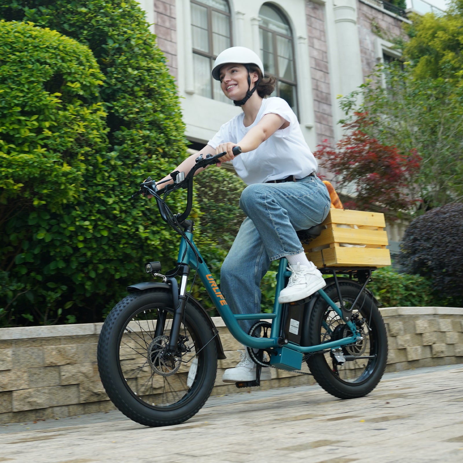 URLIFE E20 20*3.0 Fat Tire Commuting Electric Bike