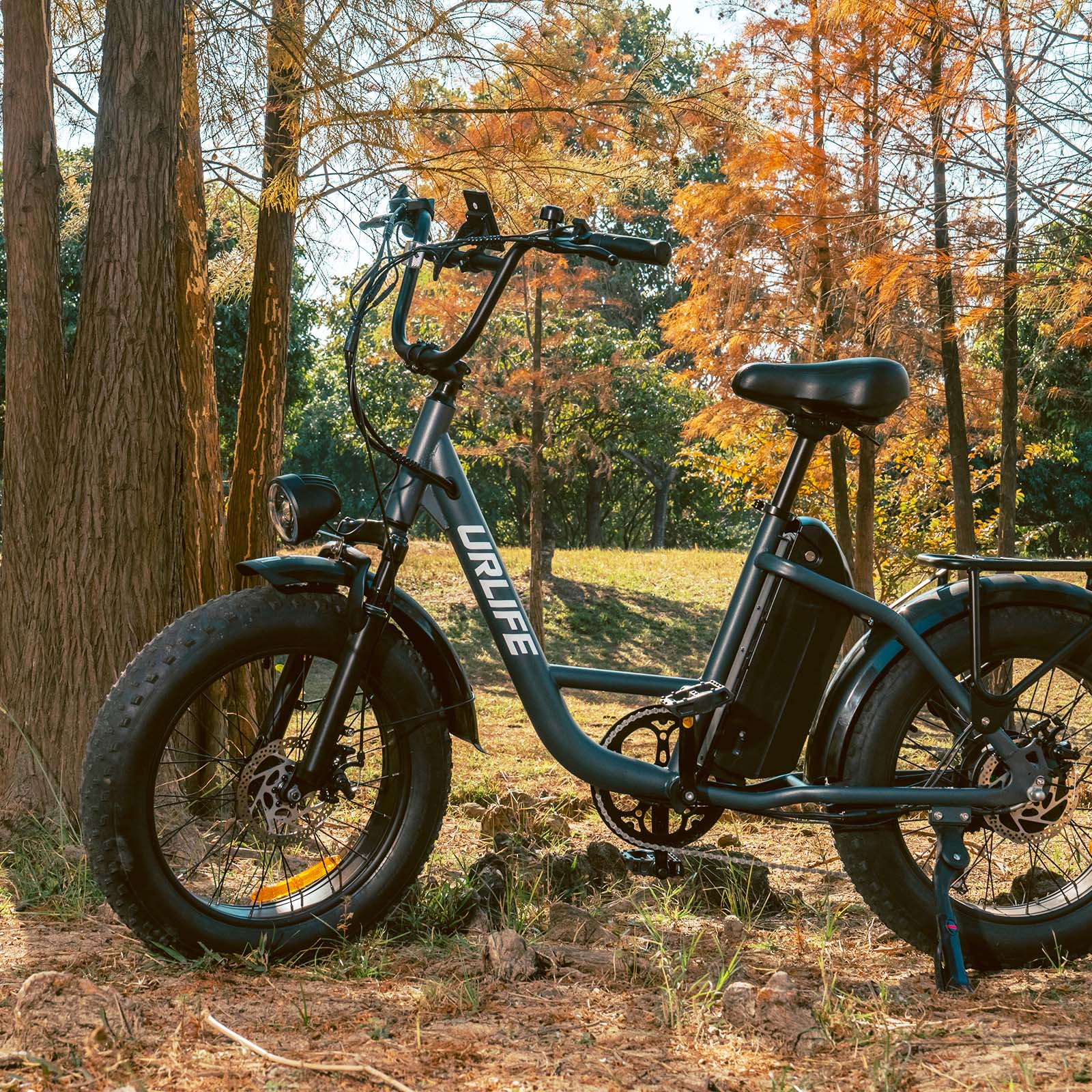 URLIFE E20 Pro 20*4.0 Inch Fat Tire Electric Bike