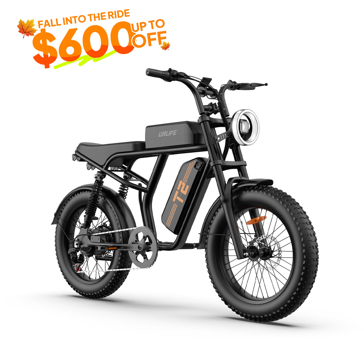 URLIFE T2 20*4.0 Inch Fat Tire Electric Bike