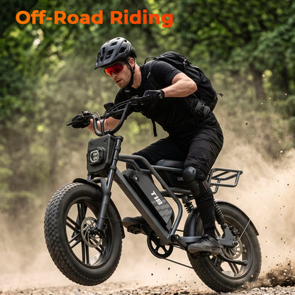 URLIFE T18 16" Fat Tire 48V 15.6Ah Electric Bike