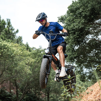 URLIFE T5 20*4.0 Inch Fat Tire Electric Bike