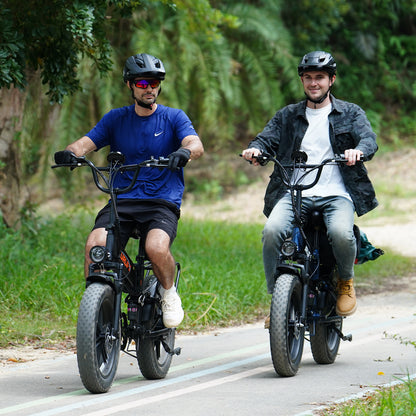 URLIFE T5 20*4.0 Inch Fat Tire Electric Bike