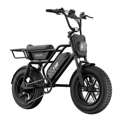 URLIFE T18 16" Fat Tire 48V 15.6Ah Electric Bike