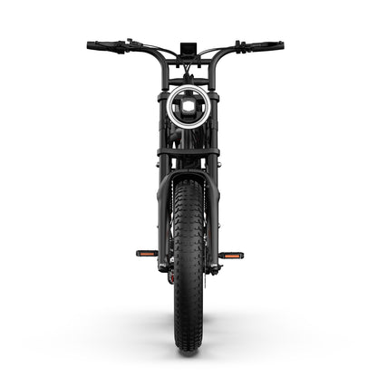 URLIFE T2 20*4.0 Inch Fat Tire Electric Bike
