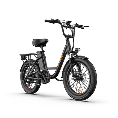 URLIFE E20 20*3.0 Fat Tire Commuting Electric Bike