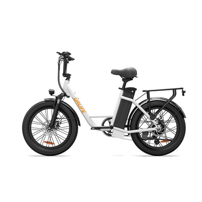 URLIFE E20 20*3.0 Fat Tire Commuting Electric Bike
