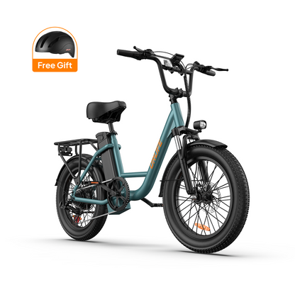 URLIFE E20 20*3.0 Fat Tire Commuting Electric Bike