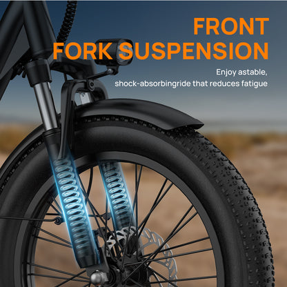 URLIFE E20 20*3.0 Fat Tire Commuting Electric Bike