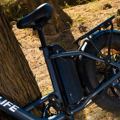 URLIFE E20 Pro 20*4.0 Inch Fat Tire Electric Bike