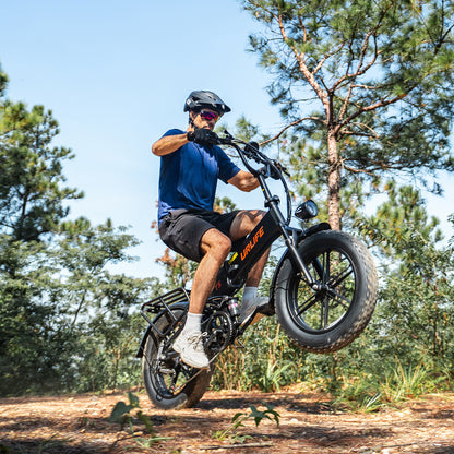 URLIFE T5 20*4.0 Inch Fat Tire Electric Bike