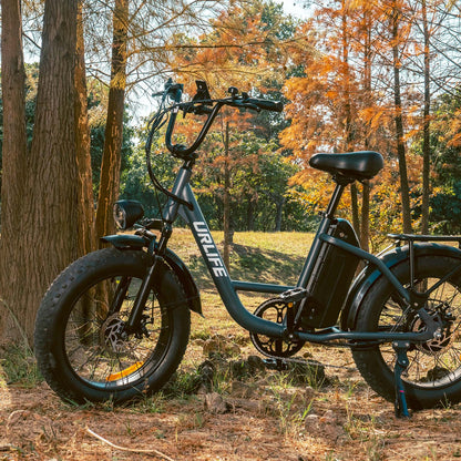 URLIFE E20 Pro 20*4.0 Inch Fat Tire Electric Bike
