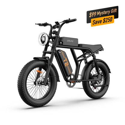 URLIFE T2 20*4.0 Inch Fat Tire Electric Bike