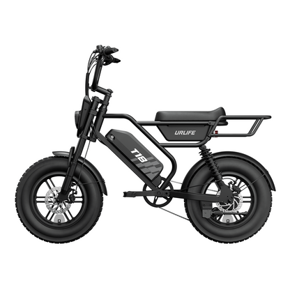 URLIFE T18 16" Fat Tire 48V 15.6Ah Electric Bike