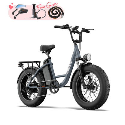 URLIFE E20 Pro 20*4.0 Inch Fat Tire Electric Bike
