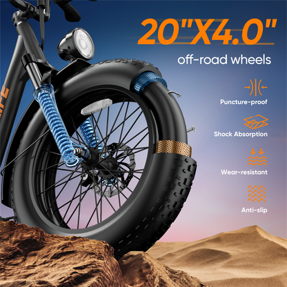 URLIFE E20 Pro 20*4.0 Inch Fat Tire Electric Bike