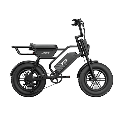 URLIFE T18 16" Fat Tire 48V 15.6Ah Electric Bike