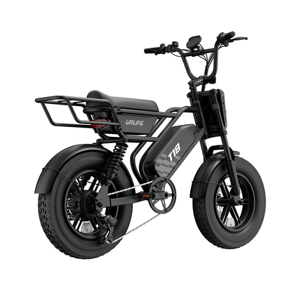 URLIFE T18 16" Fat Tire 48V 15.6Ah Electric Bike