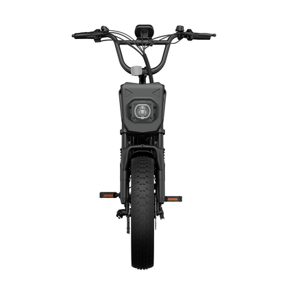 URLIFE T18 16" Fat Tire 48V 15.6Ah Electric Bike