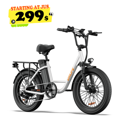 URLIFE E20 20*3.0 Fat Tire Commuting Electric Bike