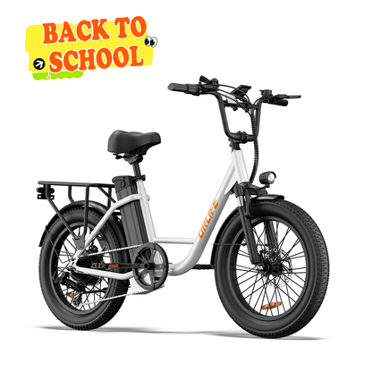 URLIFE E20 20*3.0 Fat Tire Commuting Electric Bike