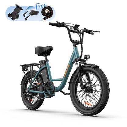 URLIFE E20 20*3.0 Fat Tire Commuting Electric Bike
