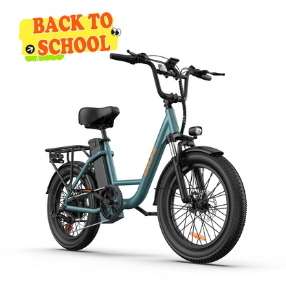 URLIFE E20 20*3.0 Fat Tire Commuting Electric Bike