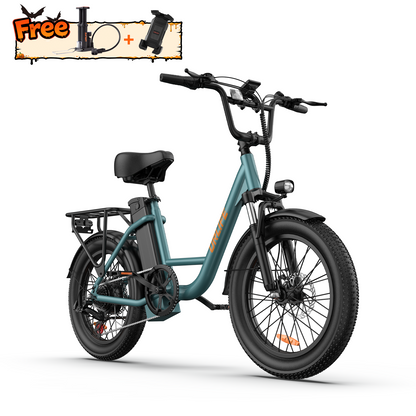 URLIFE E20 20*3.0 Fat Tire Commuting Electric Bike