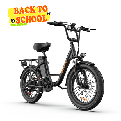 URLIFE E20 20*3.0 Fat Tire Commuting Electric Bike
