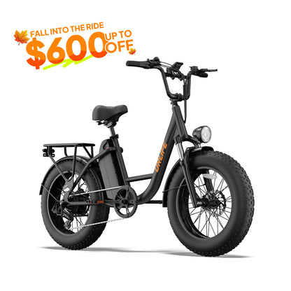 URLIFE E20 Pro 20*4.0 Inch Fat Tire Electric Bike