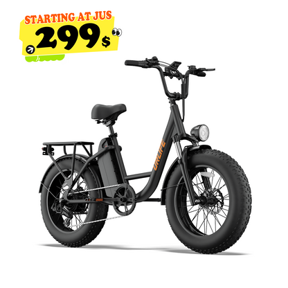 URLIFE E20 Pro 20*4.0 Inch Fat Tire Electric Bike