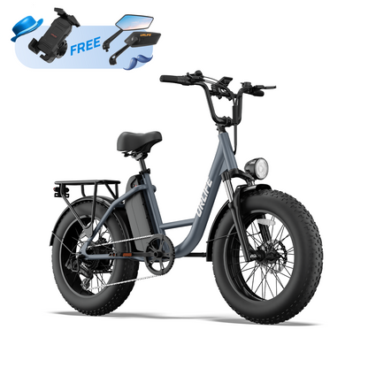 URLIFE E20 Pro 20*4.0 Inch Fat Tire Electric Bike