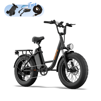 URLIFE E20 Pro 20*4.0 Inch Fat Tire Electric Bike