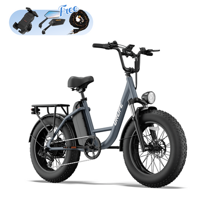 URLIFE E20 Pro 20*4.0 Inch Fat Tire Electric Bike