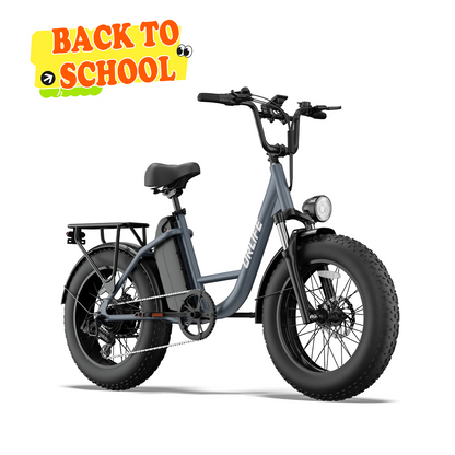 URLIFE E20 Pro 20*4.0 Inch Fat Tire Electric Bike