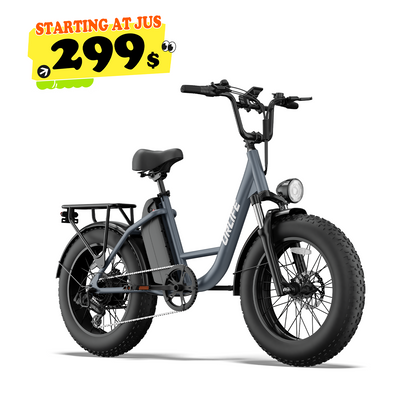 URLIFE E20 Pro 20*4.0 Inch Fat Tire Electric Bike
