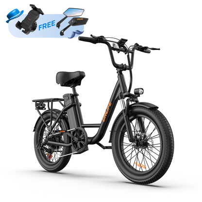 URLIFE E20 20*3.0 Fat Tire Commuting Electric Bike