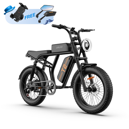 URLIFE T2 20*4.0 Inch Fat Tire Electric Bike
