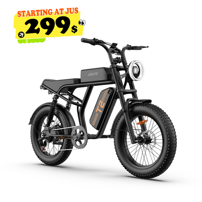 URLIFE T2 20*4.0 Inch Fat Tire Electric Bike