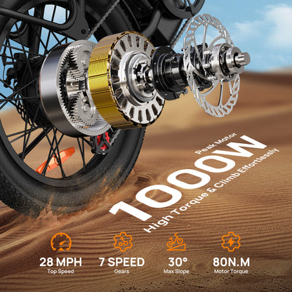URLIFE E20 20*3.0 Fat Tire Commuting Electric Bike