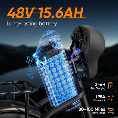 URLIFE E20 Pro 20*4.0 Inch Fat Tire Electric Bike